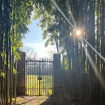In *